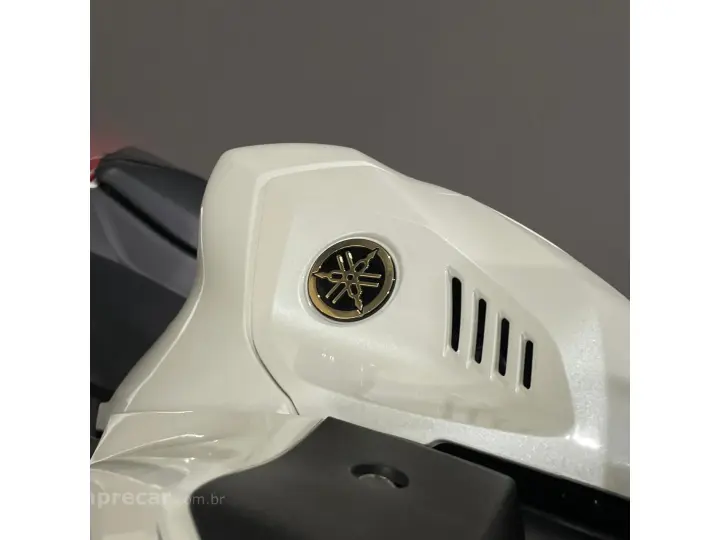 YZF R-3 WORLD GP 60TH ANINIVERSARY ED.