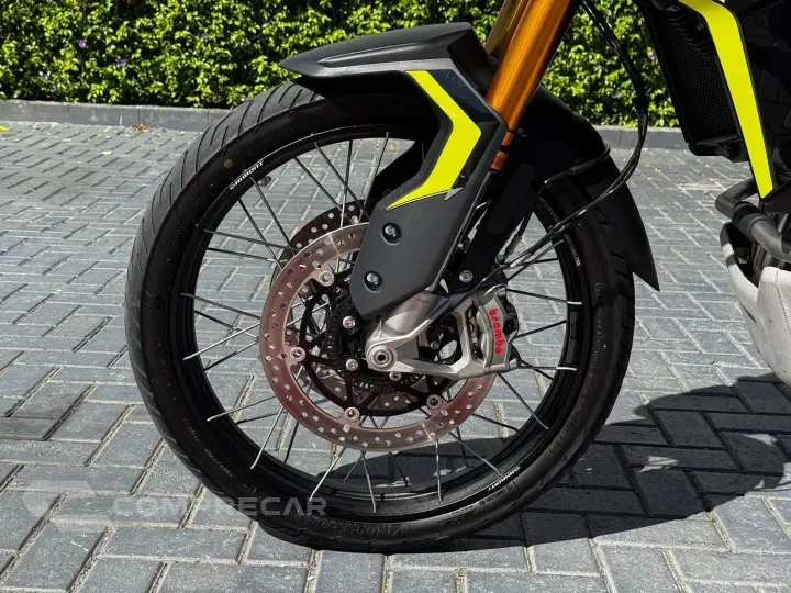 TIGER 900 RALLY PRO