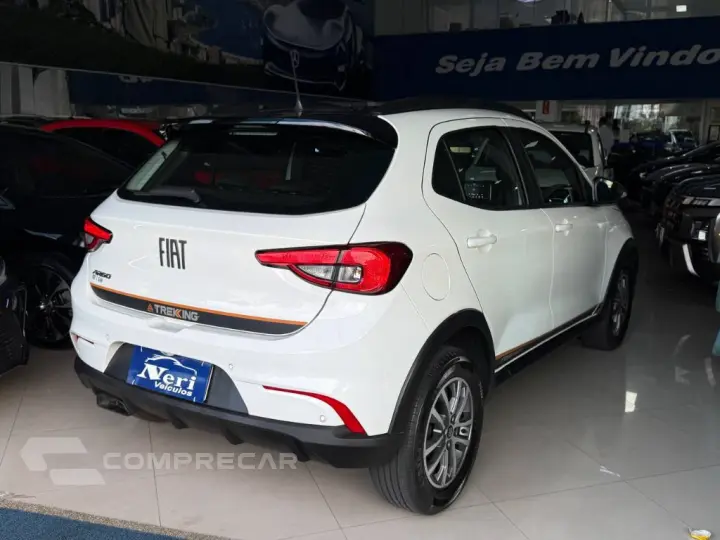 ARGO TREKKING 1.3 8V Flex