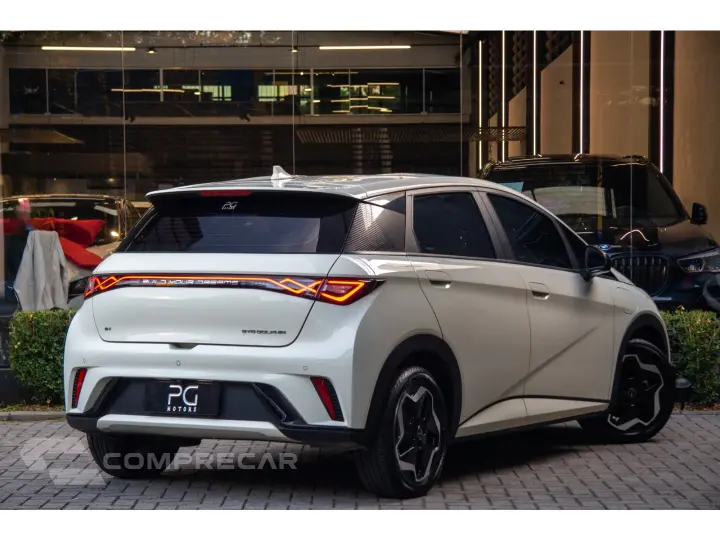 DOLPHIN 44,9 KW ELÉTRICO GS