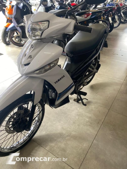 T115 CRYPTON ED