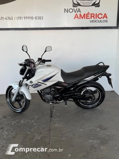 YS 250 FAZER/ FAZER L. EDITION /BLUEFLEX