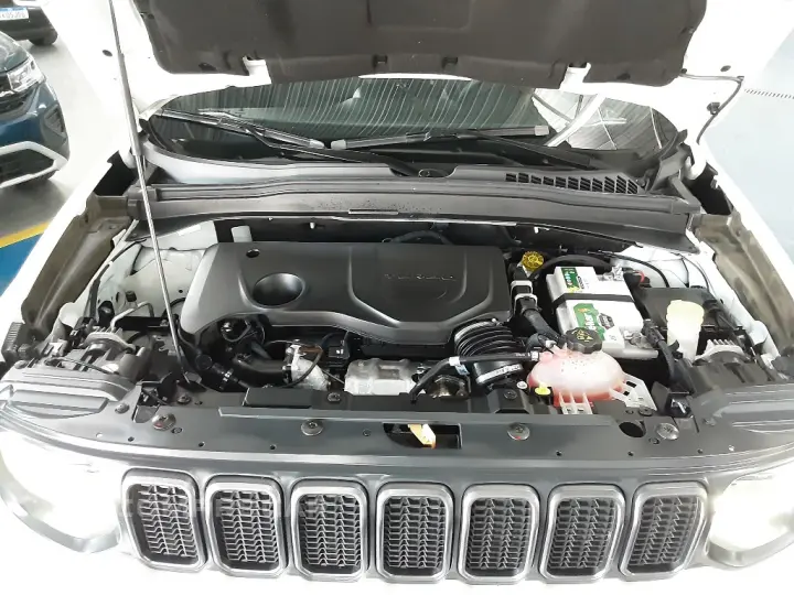 RENEGADE 1.3 T270 Turbo Flex S 4x4 At9