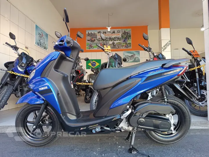 Fluo 125