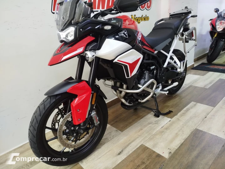 Tiger 900 GT ARAGÓN