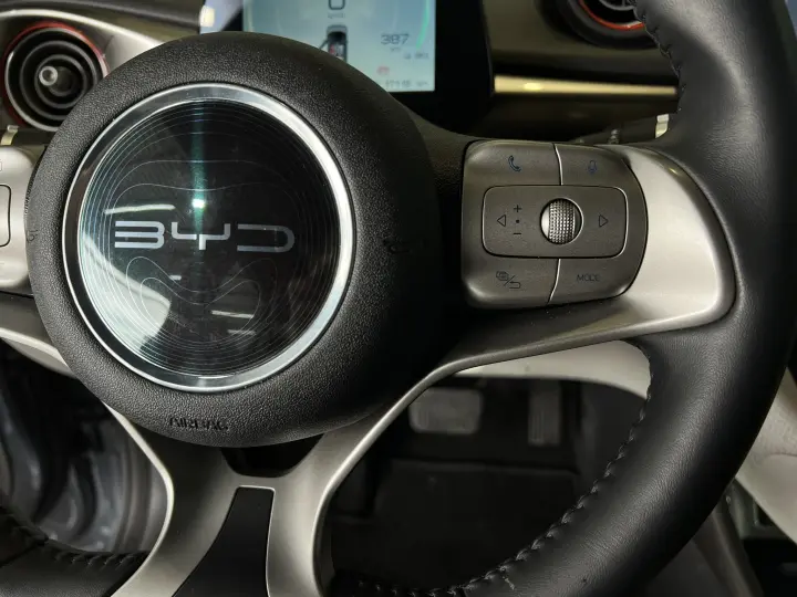 DOLPHIN 44,9 KW ELÉTRICO GS