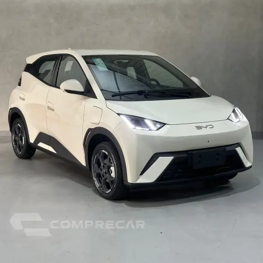 Dolphin Mini (Elétrico)