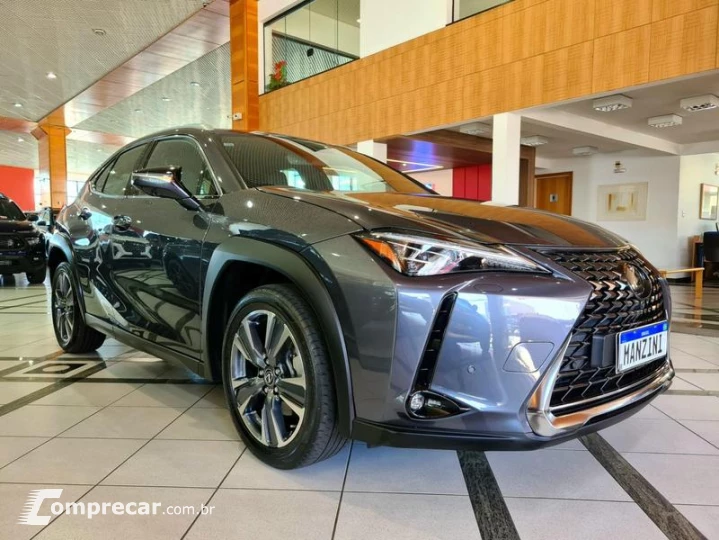 UX250H LUXURY