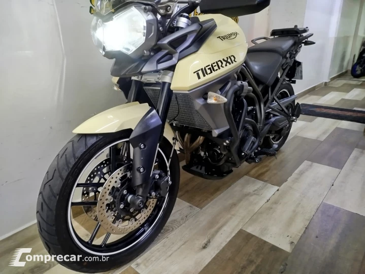 Tiger 800 800 cc