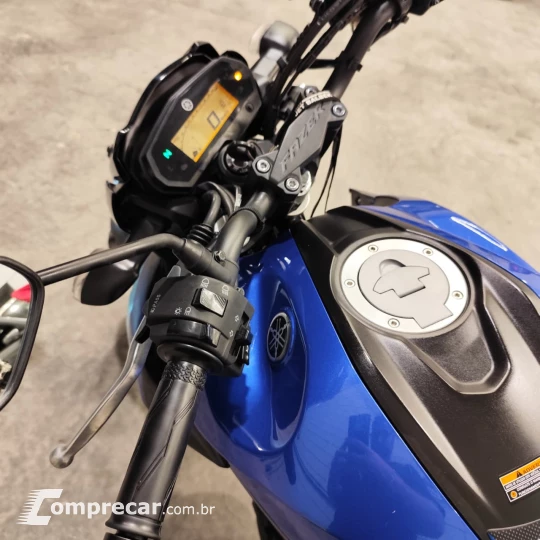 FAZER FZ250