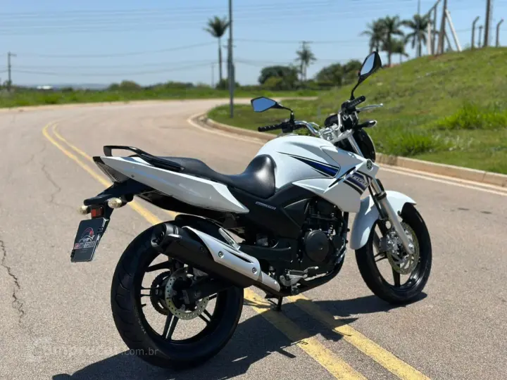 YS 250 FAZER BLUEFLEX