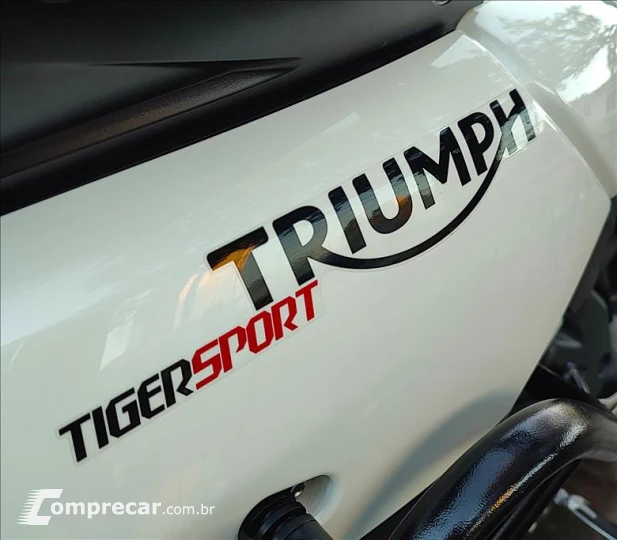 TIGER 1050
