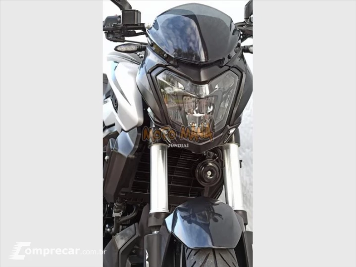 DOMINAR 250