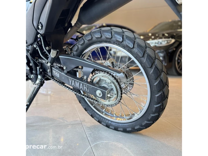 XTZ LANDER