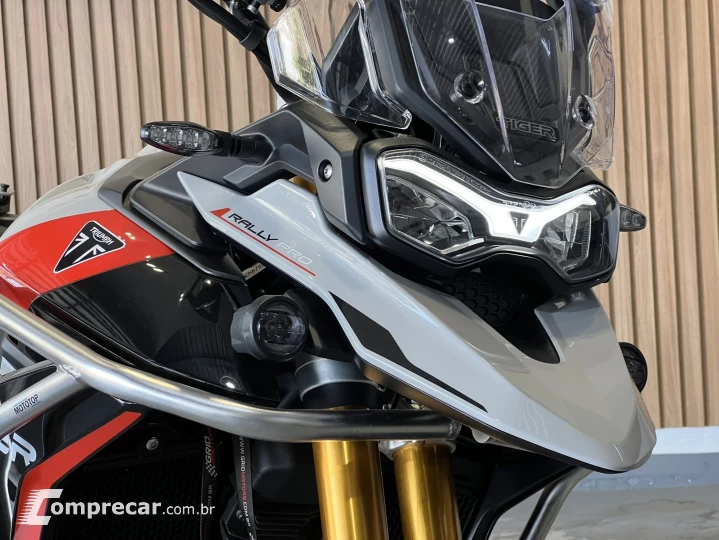 TIGER 900 RALLY PRO