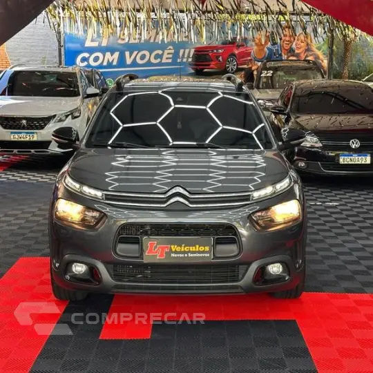 C4CACTUS SHINE T
