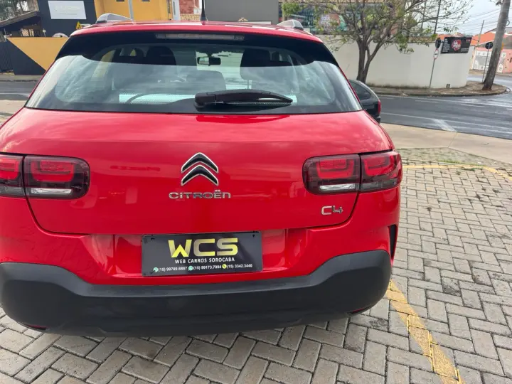 C4 Cactus Feel AT