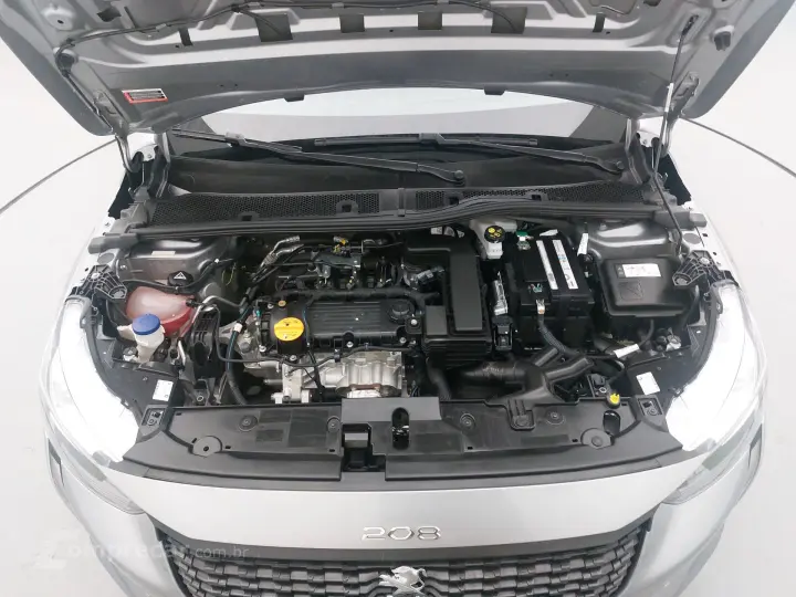 208 1.0 6V FLEX LIKE MANUAL