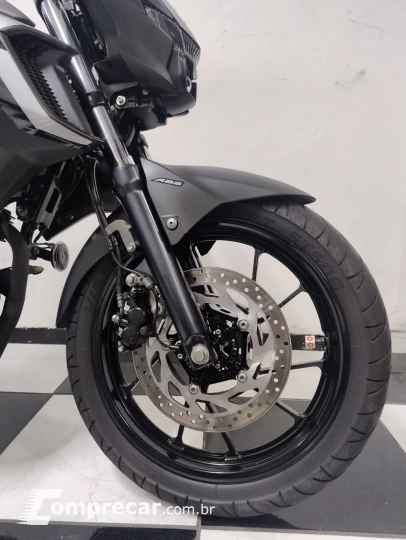 FZ25 Fazer 250