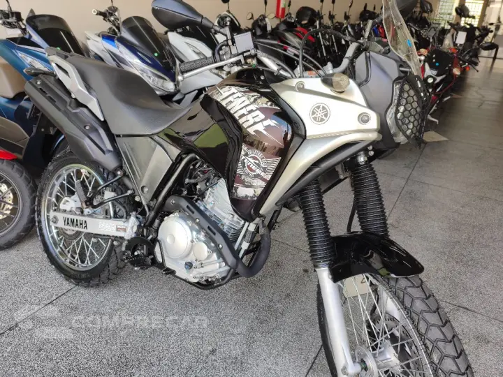 XTZ 250 TENERE/TENERE BLUEFLEX