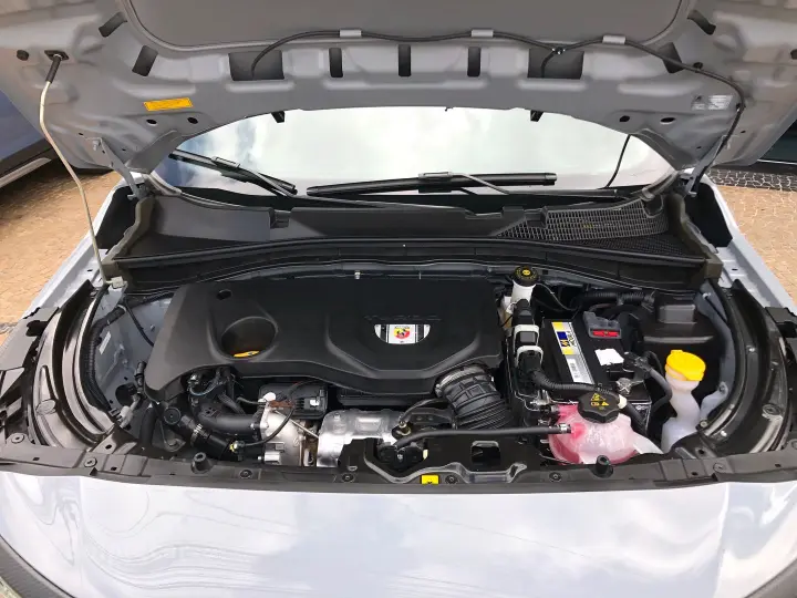 Pulse 1.3 Turbo 270 Flex Abarth At6