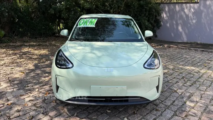 EX2 39,4 KW ELÉTRICO PRO