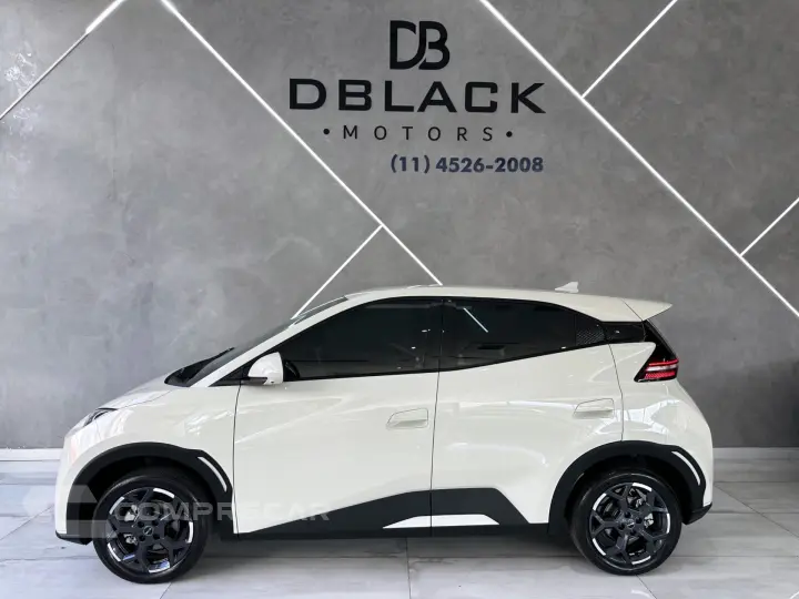 Dolphin Mini (Elétrico)