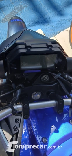 MT-03 ABS