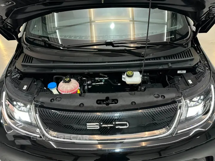 Dolphin EV GS (Elétrico)