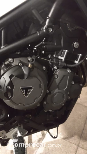 Tiger 900 GT