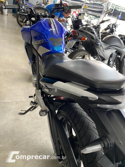 CB 250F TWISTER