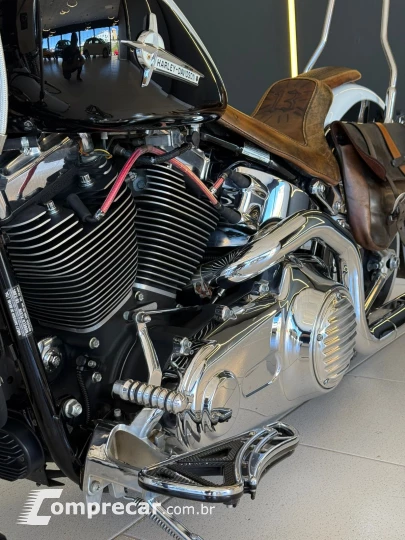 SOFTAIL DELUXE FLSTN