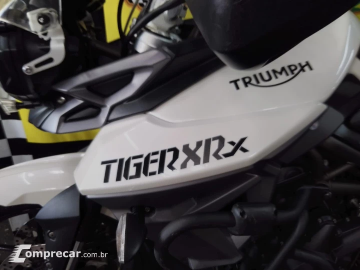 Tiger 800 XRX