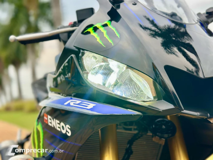YZF R3 MONSTER