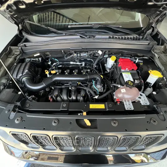 Renegade 1.8 4x2 Flex 16V Aut.