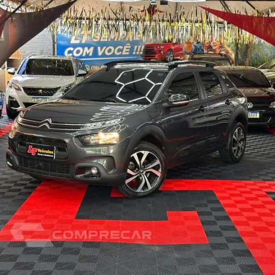 C4CACTUS SHINE T