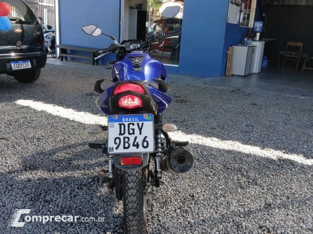 YS 150 FAZER SED - Street