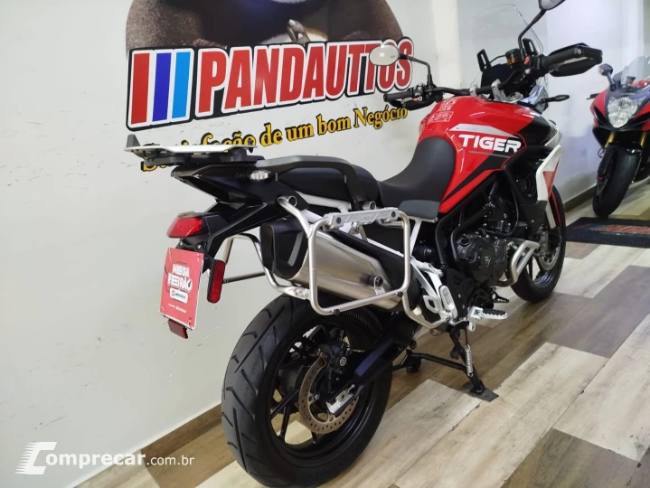 Tiger 900 GT ARAGÓN