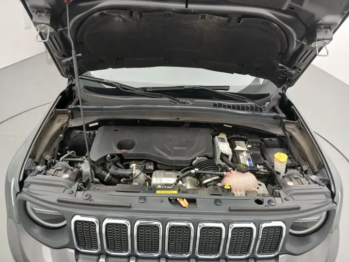 RENEGADE 1.3 T270 TURBO FLEX LONGITUDE AT6