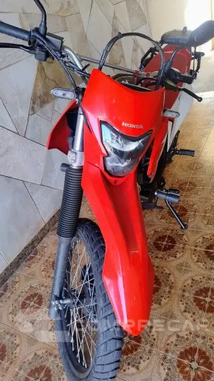 Xr 300 Tornado