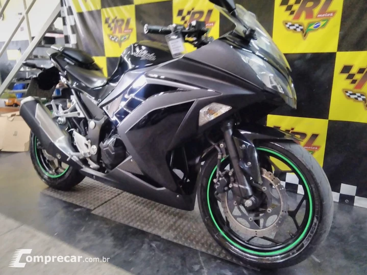 Ninja 300