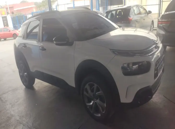 C4 Cactus