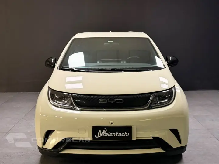 DOLPHIN 44,9 KW ELÉTRICO GS