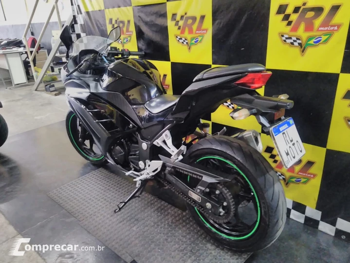 Ninja 300