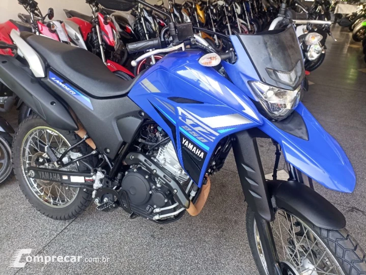XTZ 250 LANDER 249cc/LANDER BLUEFLEX/ABS