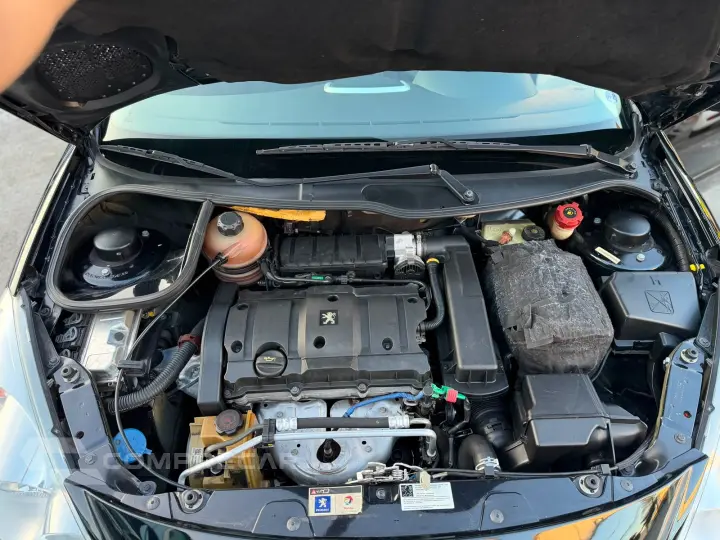 207 Sedan Passion XS 1.6 Flex 16V 4p