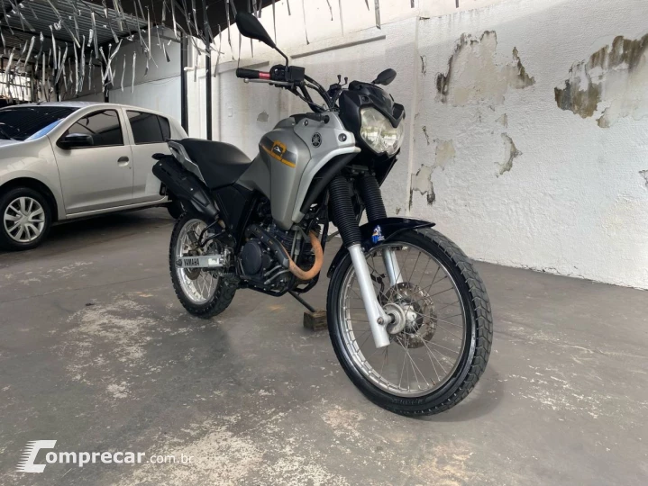 XTZ 250 TENERE/TENERE BLUEFLEX