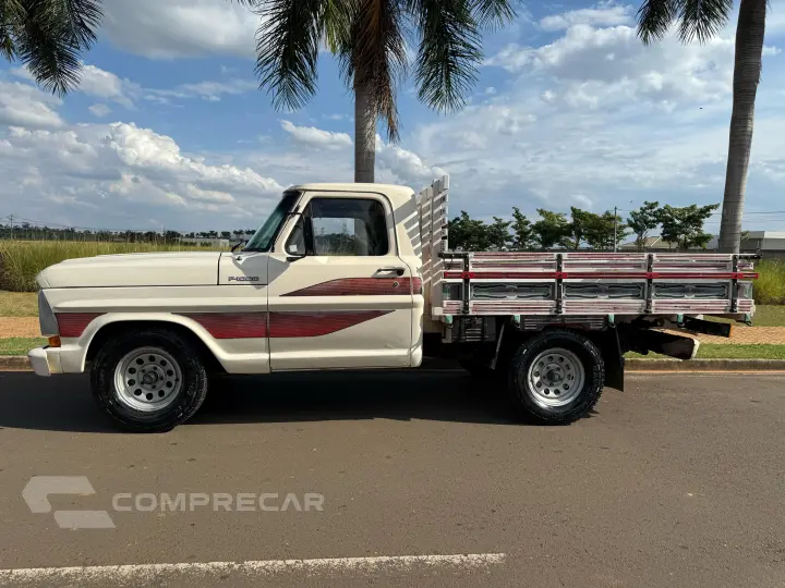 F-1000 3.9 Super Serie 4X2 CS 8V Turbo