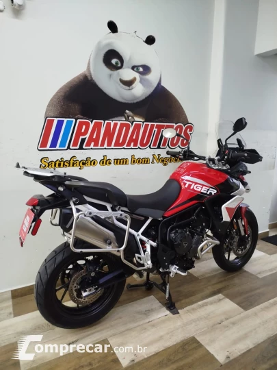 Tiger 900 GT ARAGÓN