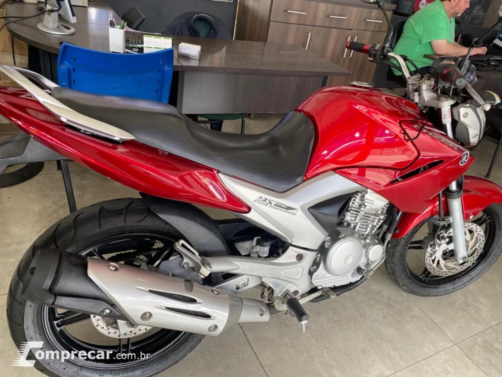 YS 250 FAZER